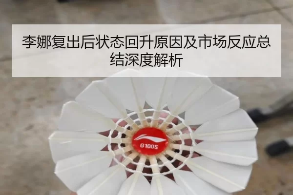 李娜复出后状态回升原因及市场反应总结深度解析